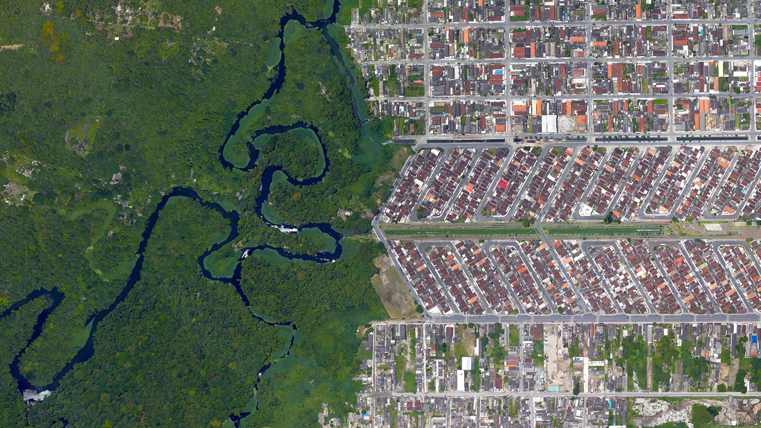 Urban Global Embarks on a Green Journey: Pioneering Carbon-Neutral Shipping